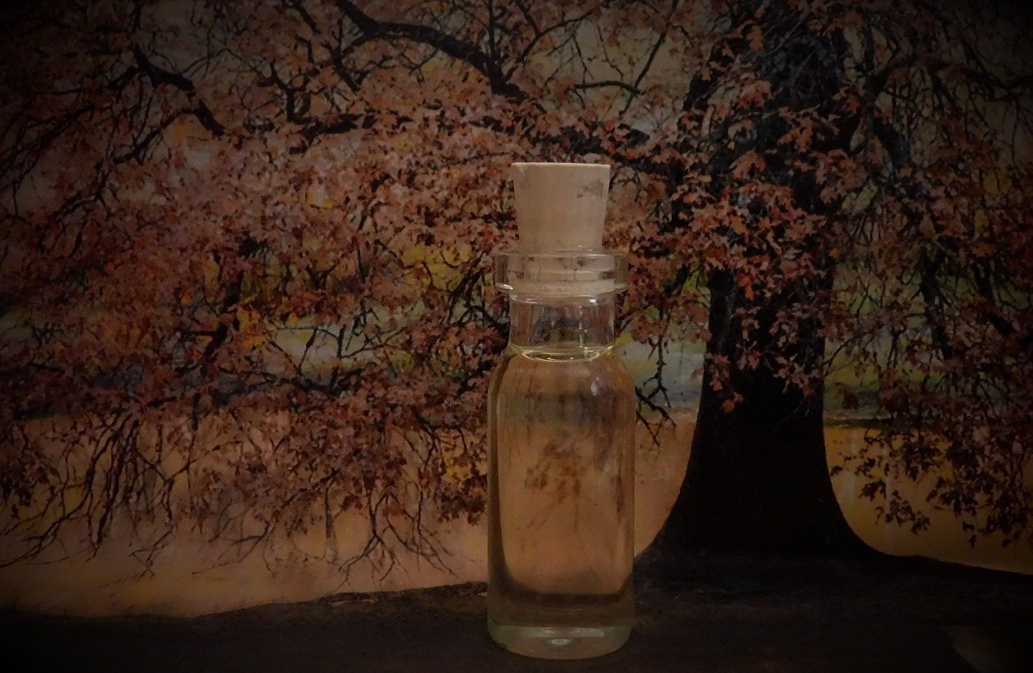 Sacred Oak Tree Crafted Oil Blend, Ritual Oil, Anointing Candle Dressing Fragrance Wicca, Witchcraft, Pagan