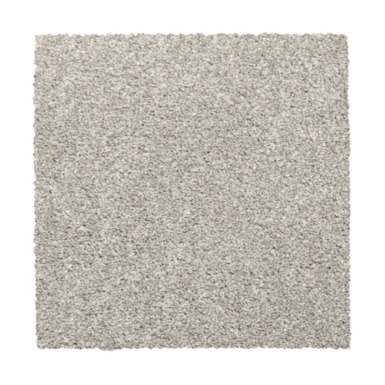 STAINMASTER Vibrant blend II Cape Cod Textured Carpet Sample (Indoor) Polyester in Gray | STP33-L002-0808