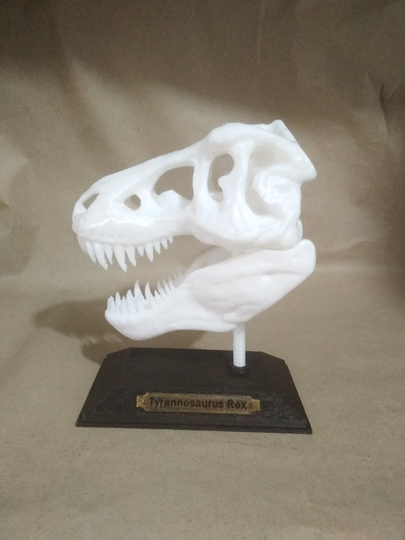 Skull T-Rex Tyrannosaurus Rex Jurassic Park Coleccionismo Hecho To Mano Handmade Collecting