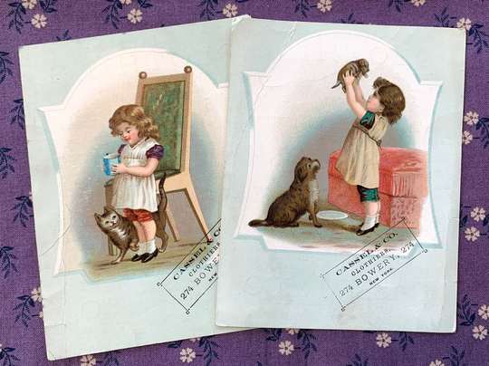 Victorian Trade Card Lot Girl With Kitty Cat & Dog Cassel Clothiers Bowery Nyc 1800's Scrappy