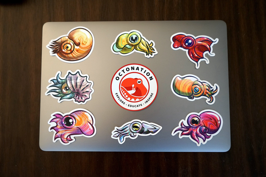 Baby Cephalopod Sticker Pack | 8, Psychedelic Octopus, Squid, Cuttlefish, Nautilus, Vampire Ram's Horn Argonaut