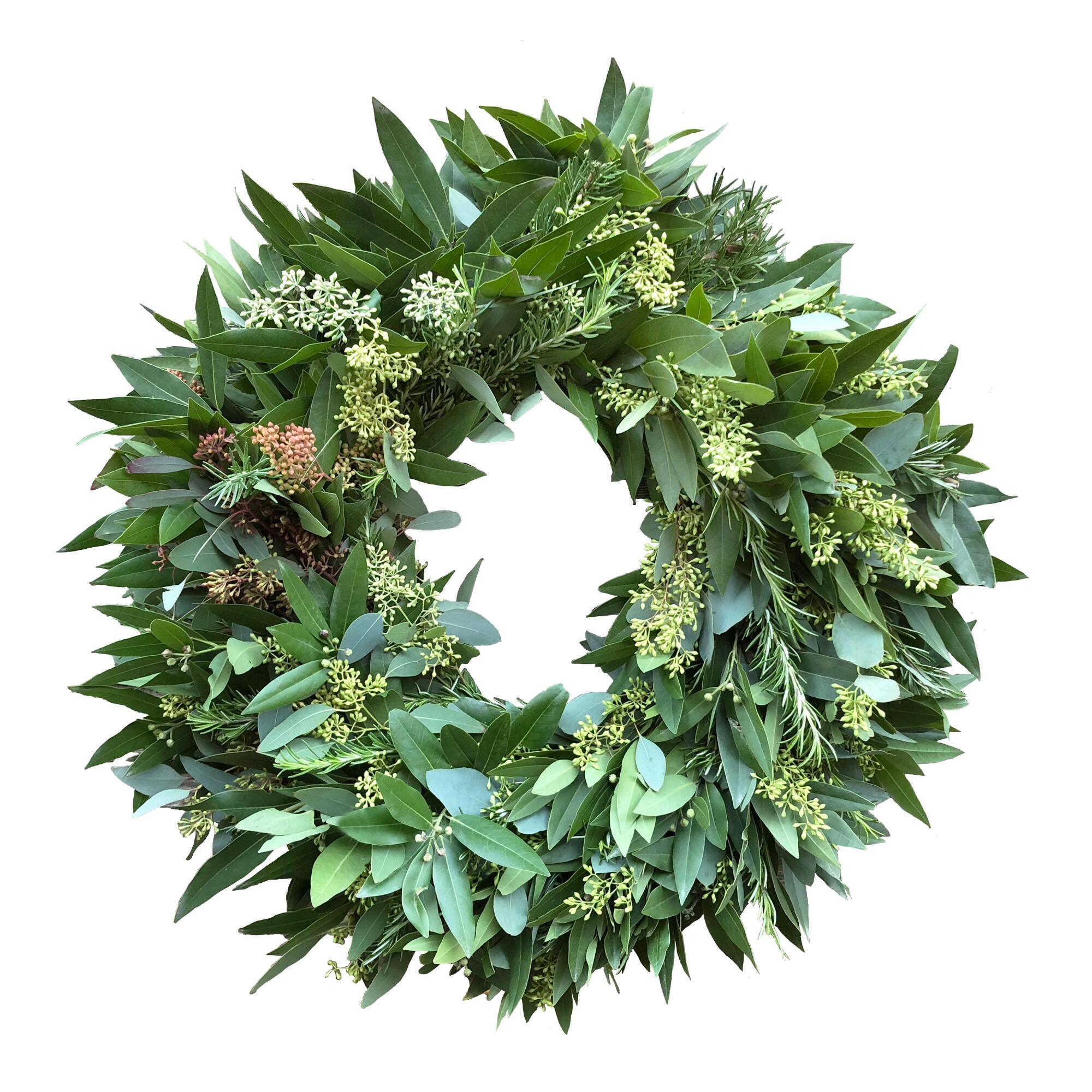 Fresh Bay Leaf, Eucalyptus and Rosemary Wreath by World Market