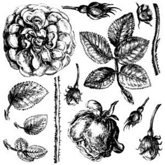 Iod Decor Stamp Lady Of Shallot By Iron Orchid Designs