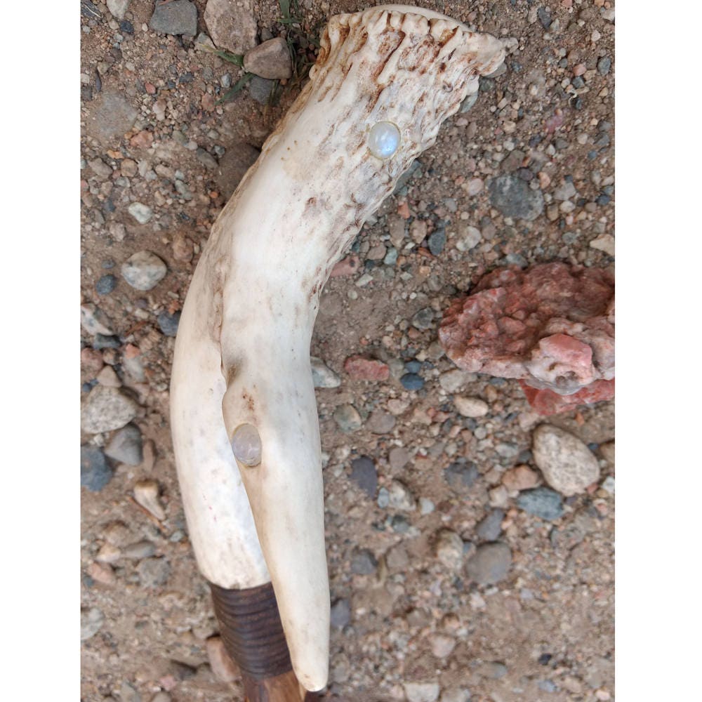 Deer Antler Walking Stick W/Antler Foot & Carved Celtic Runes - Hand Made & in The Usa