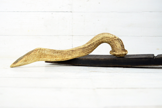 Vintage Natural Horn, Single Deer Antler