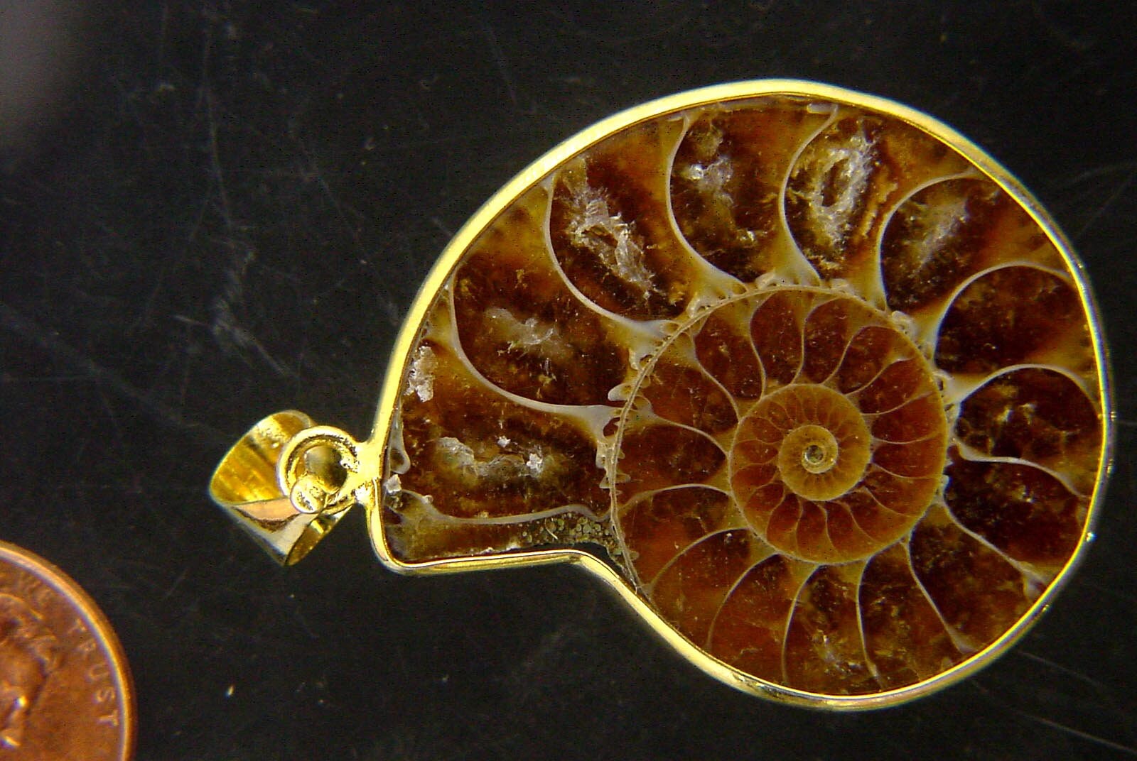 Gold Electroformed Ammonite Nautiloid Fossil Pendant Necklace Jewelry With 24 Gp Chain 7267P