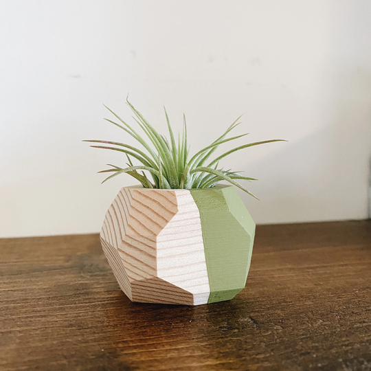 Mini Geo Air Plant Holder W/Air | Natural Wood