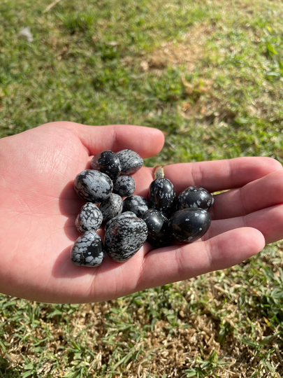 Snowflake Obsidian Crystal Tumbles