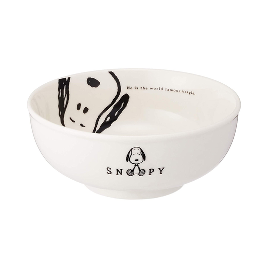 Peanuts Snoopy Joy Woodstock Ramen Bowl 606134 Porcelain Japan