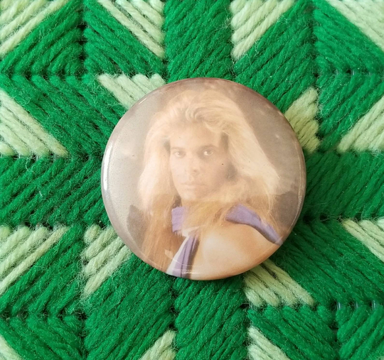 Vintage David Lee Roth Pinback Button