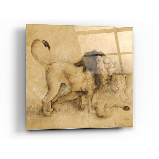 Acrylic Glass Wall Art "Global Lions Light Crop' By Cheri Blum