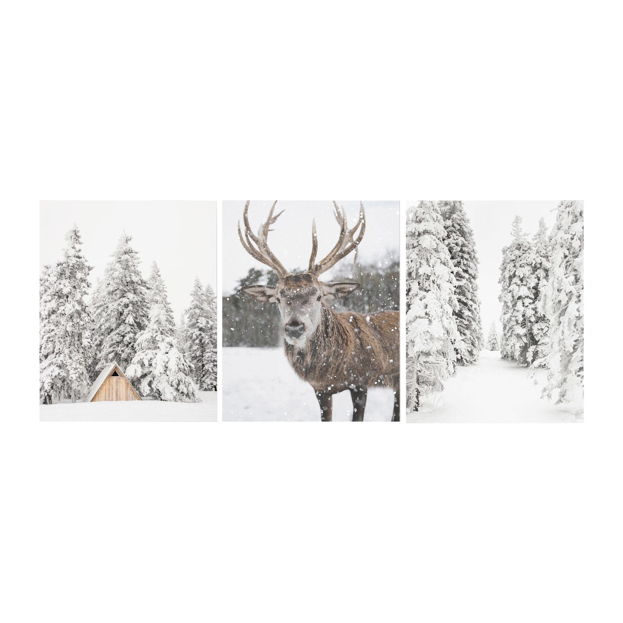 All Is Calm Photographic Canvas Wall Art 3 Piece: Brown/White/Multi by World Market