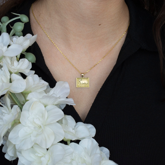 Real 14K Solid Gold Aries Zodiac Coin Necklace - Personalized Jewelry Tiny Astrology Signs Charm -Birthday Gift