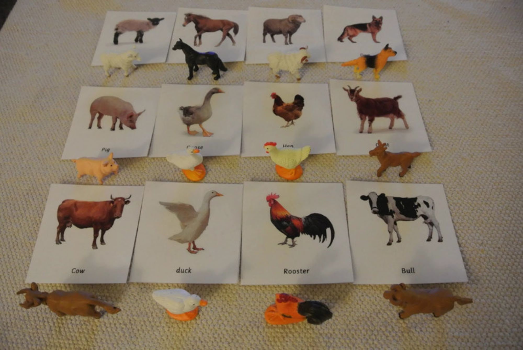 Montessori Common Farm Animals 3 Parts Cards With Miniatures