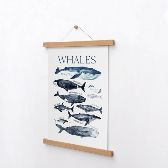 Magnetic Wood Frame Whale Poster Hanger & Floating Hangers Wooden Frames Boy Room Decor