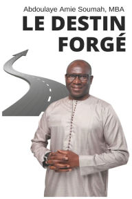 LE DESTIN FORGÉ: Chacun contribue à la construction de son destin Abdoulaye Amie Soumah Author