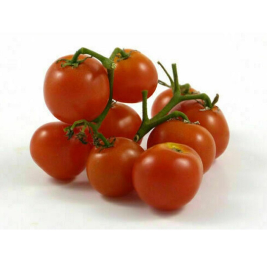 Pinocchio Red Micro Dwarf 12 Seeds Rare Free Ship