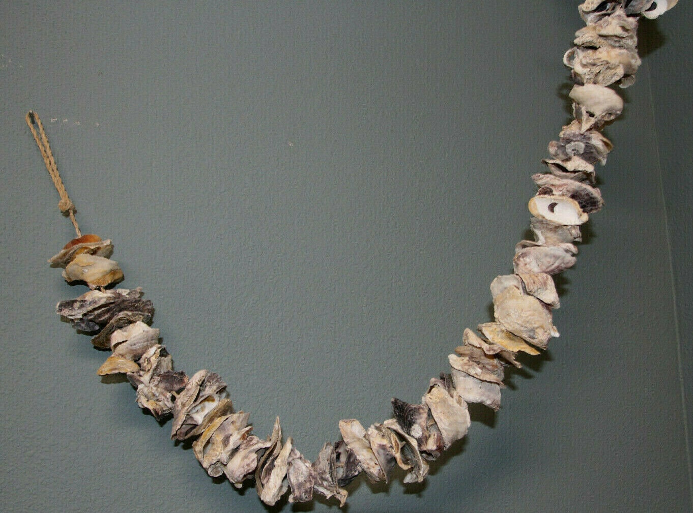 Coastal Wedding Supply, Oyster Shell Garland, Free Ship Ss-87