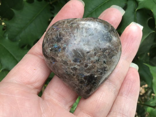 Brown Larvikite Moonstone Crystal Heart 1.75"