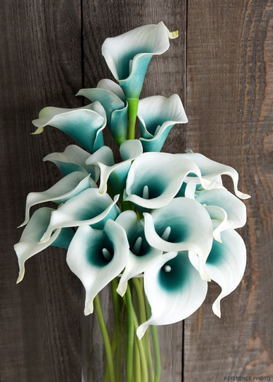 Fiveseasonstuff 10 Stems Real Touch | White & Turquoise Calla Lilies Artificial Flower Bouquet, Wedding, Bridal, Party, Home Décor Diy