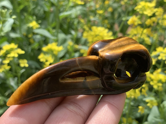 3.7Inch Natural Tiger Eye Crow, Tiger Raven Skull, Crystal Skull Carving, Crystal Healing Decor, Skull Collect 1Pc