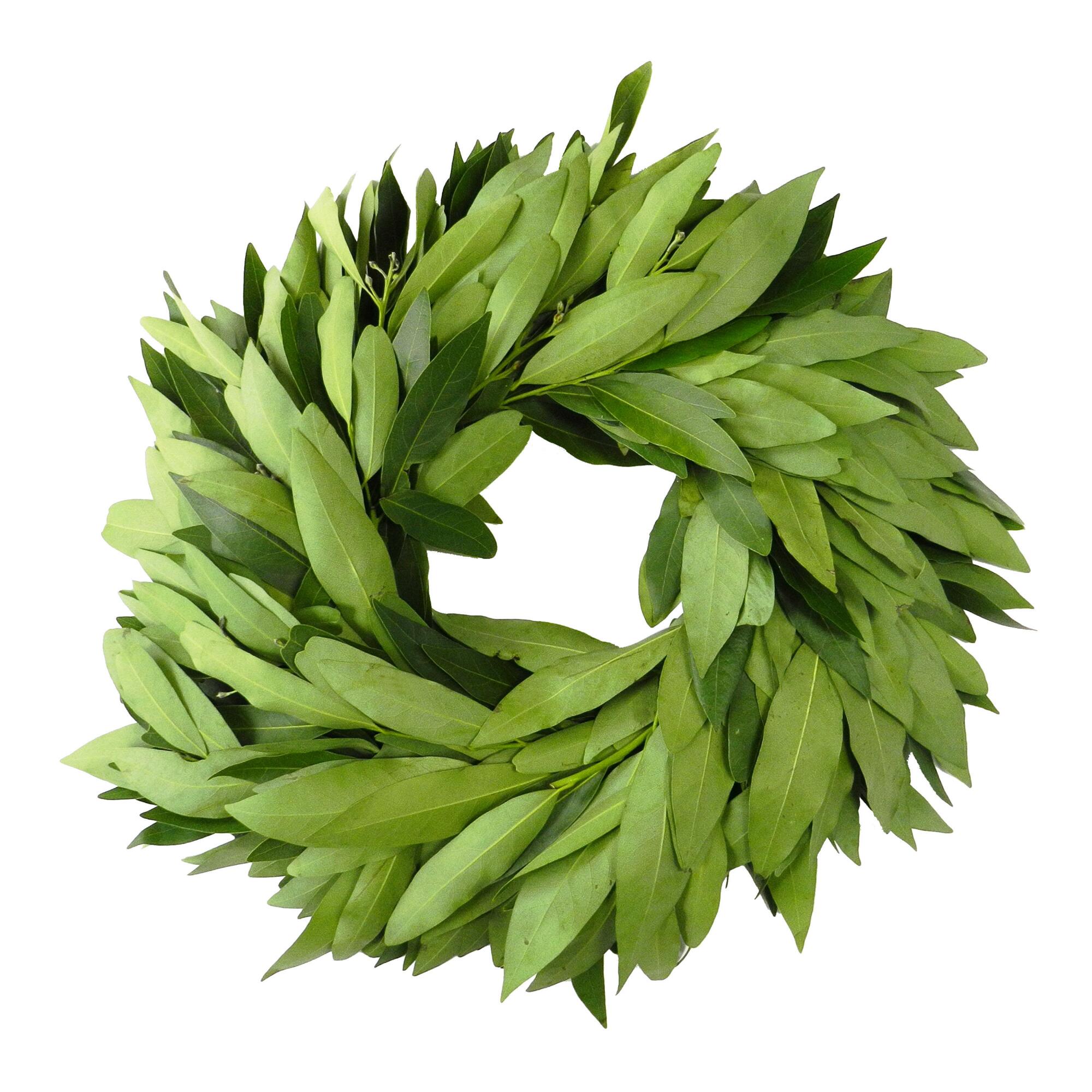 Fresh Bay Leaf Wreath by World Market