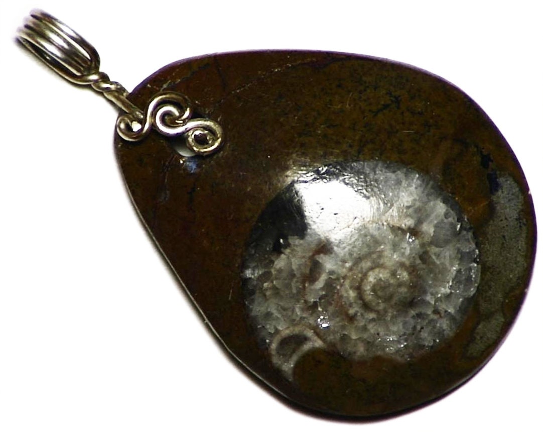 Fossil Ammonite Pendant, Snail Shell Necklace, Genuine Jewelry, Wire Wrapped Natural Gift For A Woman