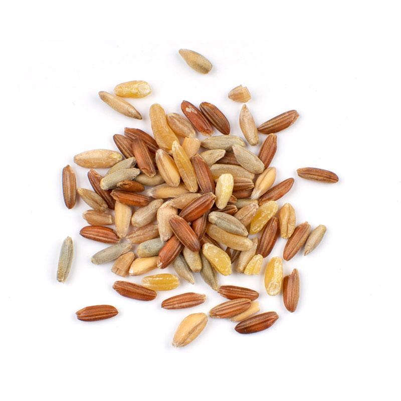 Grain Blend: Ancient Whole