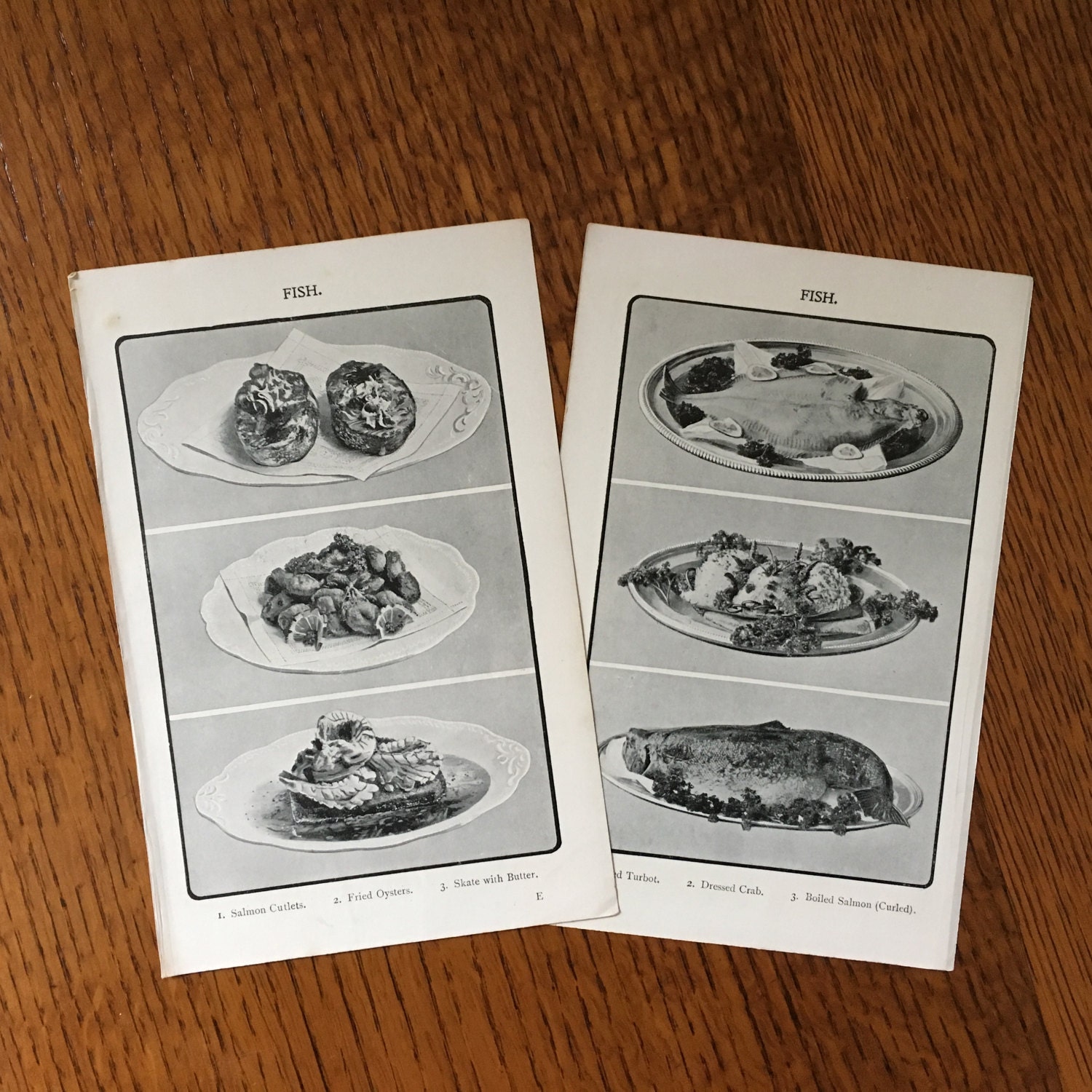 C. 1912 - Seafood Fish Lithographs From Mrs. Beeton's Cooking & Food Techniques Original Antique Prints Salmon Oysters Crab Set Of 2