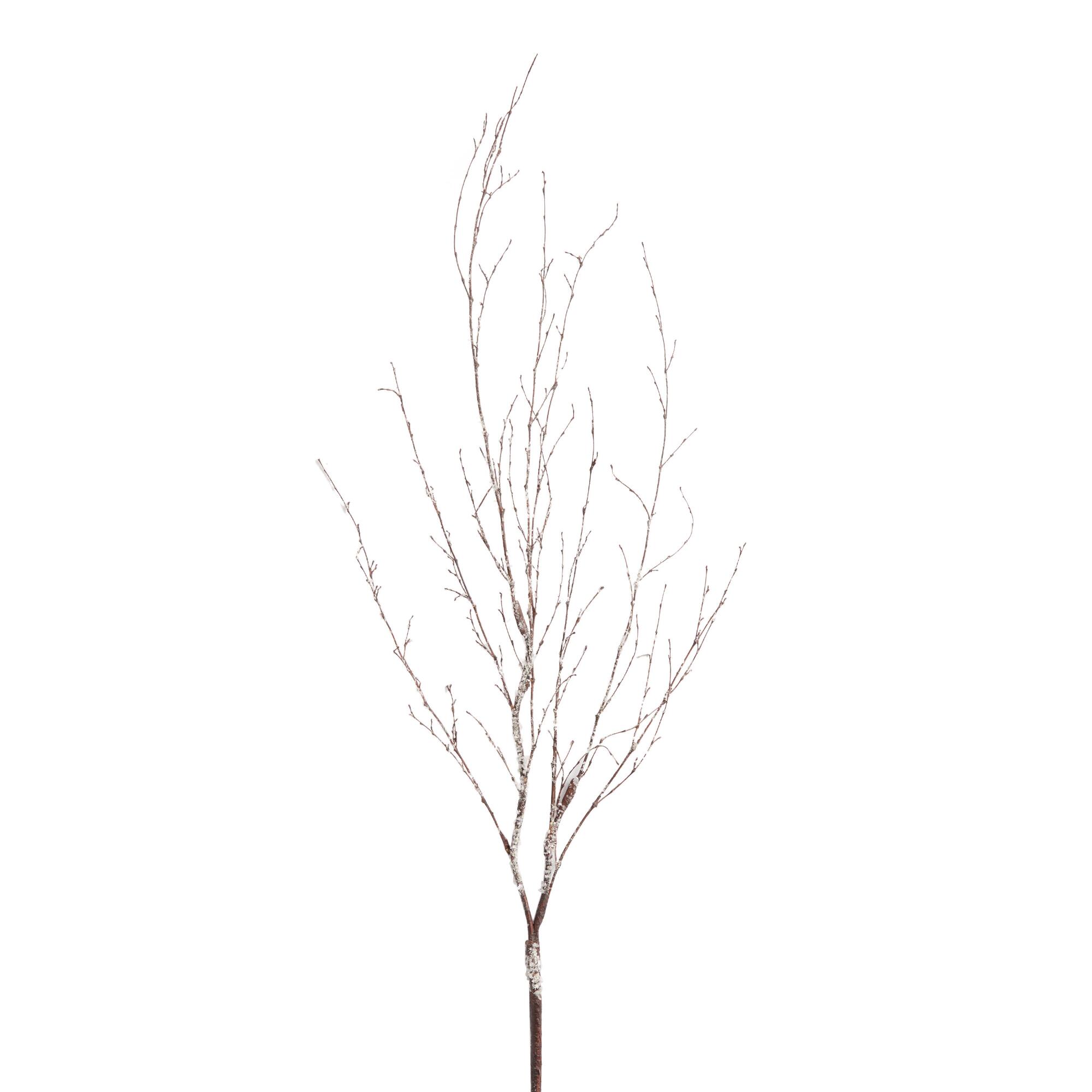 Pier Place Frosted Bamboo Branch Decor: Brown/Green/White by World Market