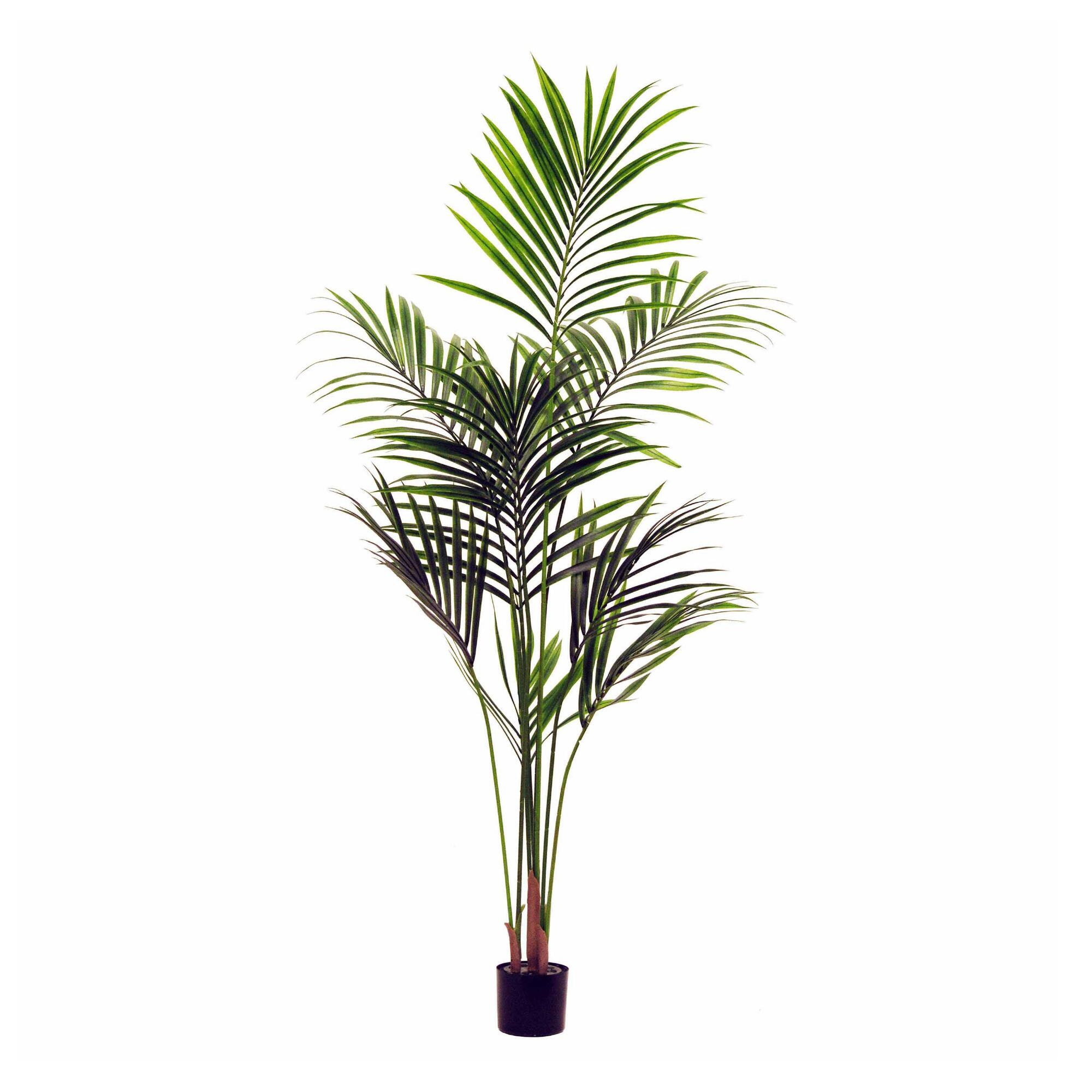 Faux Kentia Palm Tree by World Market