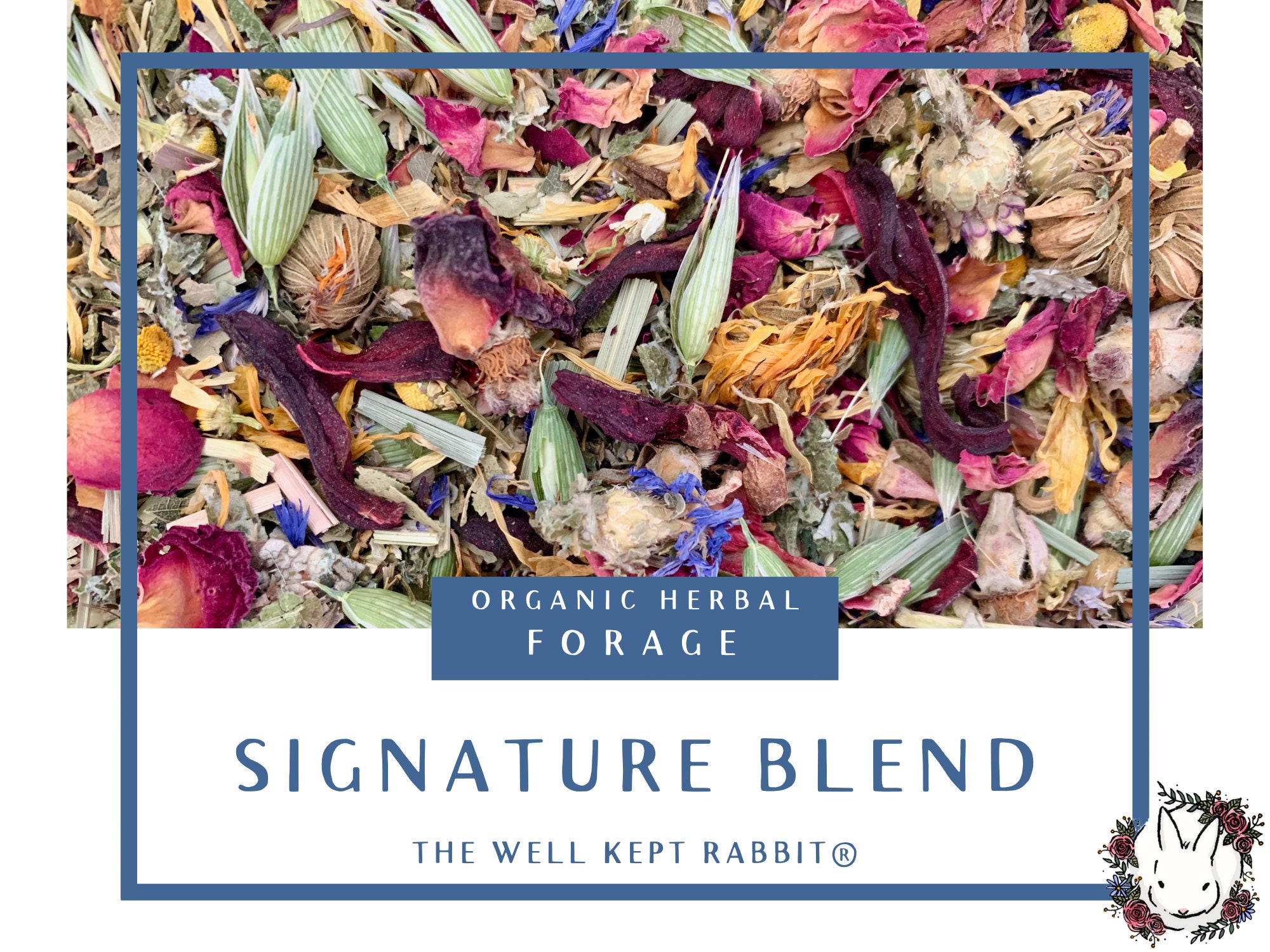 Twkr Signature Blend | Herbal Forage Natural Source Of Vitamins, Minerals, Micronutrients Organic Hay Topper For Rabbits & Guinea Pigs