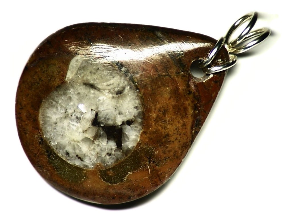 Ammonite Wire Wrapped Pendant, Mens Jewelry in Sterling Silver, Real Fossil Necklace, Teardrop Cut in Matrix, Spiral Pendant