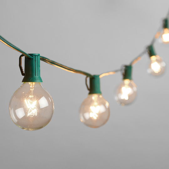 Clear Glass 30 Bulb String Lights by World Market