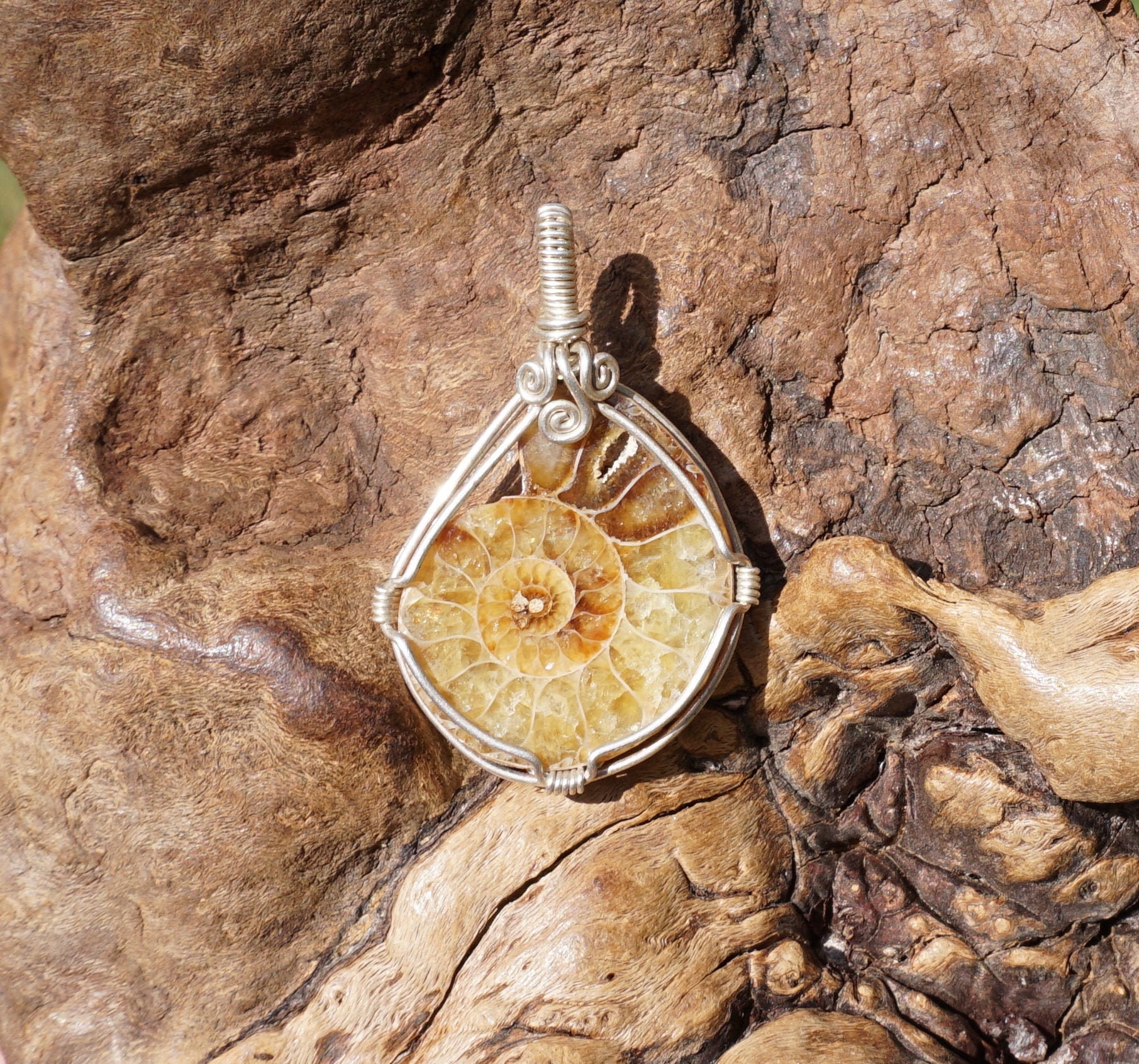Ammonite Fossil Pendant & Sterling Silver Wire Wrapped ~ Genuine Fossil, Fibonacci Sequence, Organic Jewelry