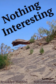 Nothing Interesting Bob Campbell Author