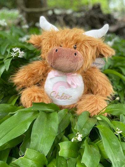 Highland Cow Personalised Plush Teddy. Personalised New Born Gift. Birthday Present