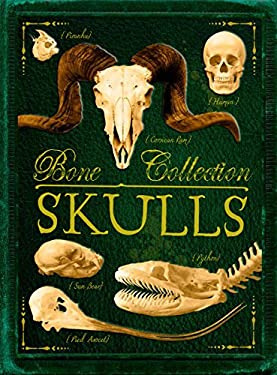 Bone Collection: Skulls by e, Camilla de la Bédoyère
