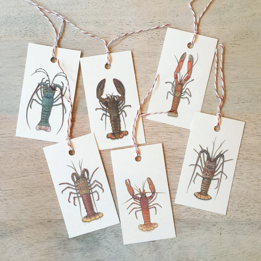 Lobsters Gift Tags | Pack Of 6 /Watercolor Illustration/ Holiday/Celebration Tag Lobster Seafood Nature Crustacean