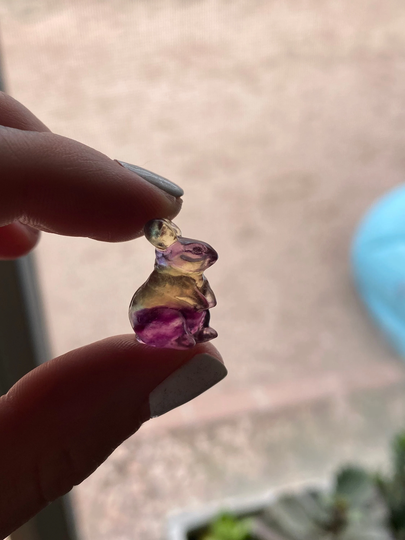 Rainbow Fluorite Bunny Crystal | Carved & Polished Natural Cute Rabbit Metaphysical Witchy Pocket Stone