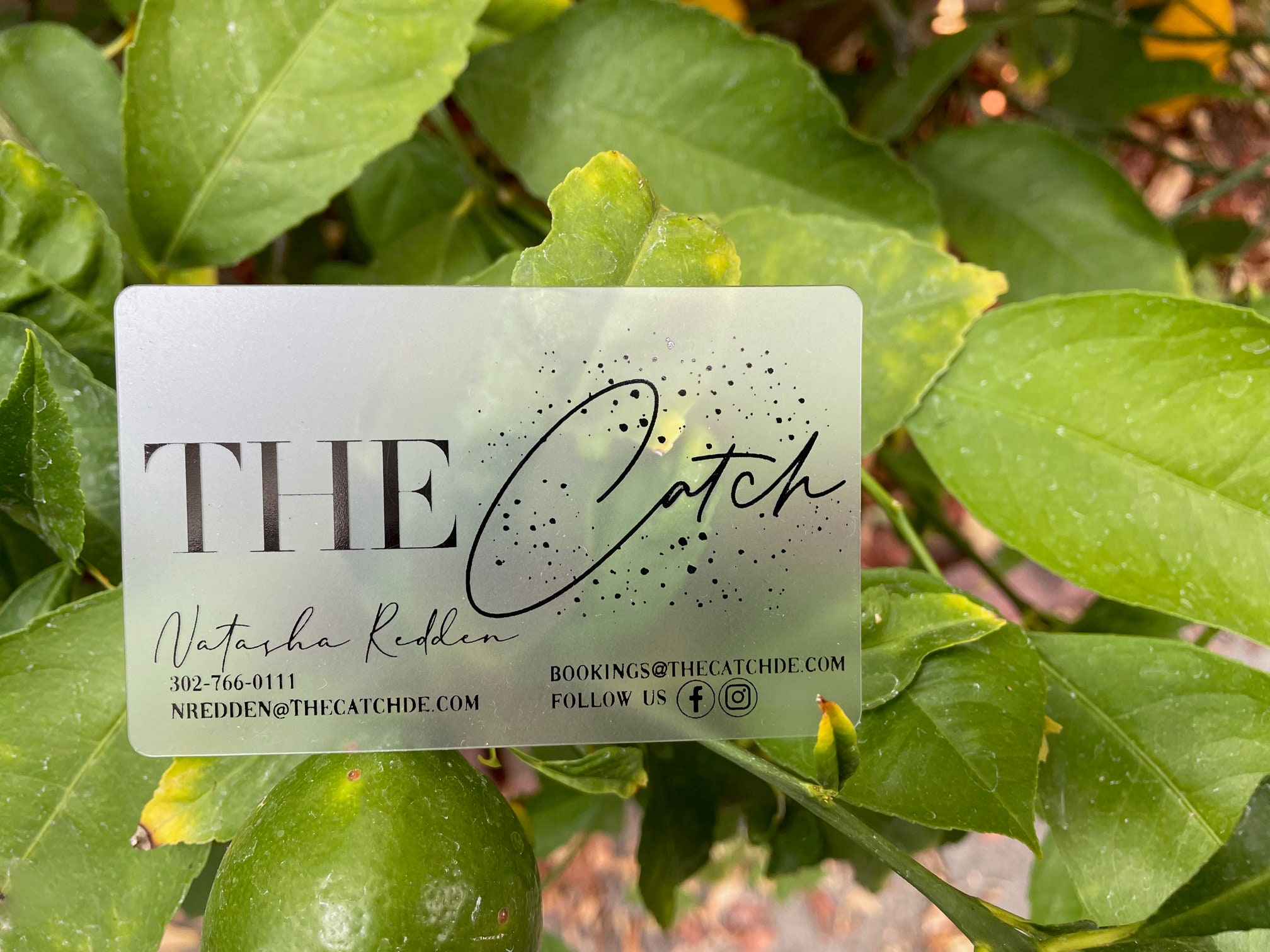 200 Business Cards - Frosted Plastic Stock Black Metallic Foil Stamped Clear Translucent Custom Recyclable Transparent Hangtags Frost Usa