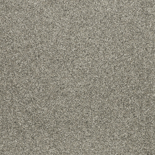 STAINMASTER Vibrant Blend I Kettle Textured Carpet Sample (Indoor) Polyester in Gray | STP32-L007-0808
