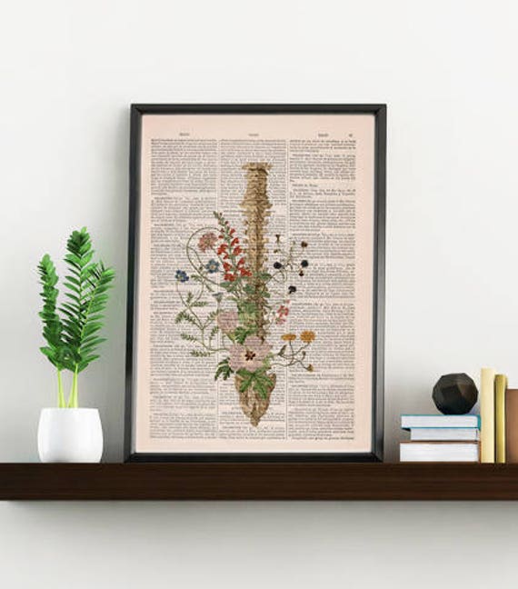 Doctor Gift Spine Flower Art - Anatomy Illustration Chiropractor Gift Poster Anatomical Wall Print Ska141
