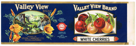 Original Vintage Tin Can Label C1920 Valley View Yosemite Selma San Francisco Poppy Half Dome Waterfall White Cherries