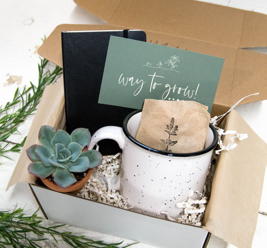 Way To Grow Gift Box With Leather Journal & Campfire Mug | Succulent Promotion Company New Job Graduation