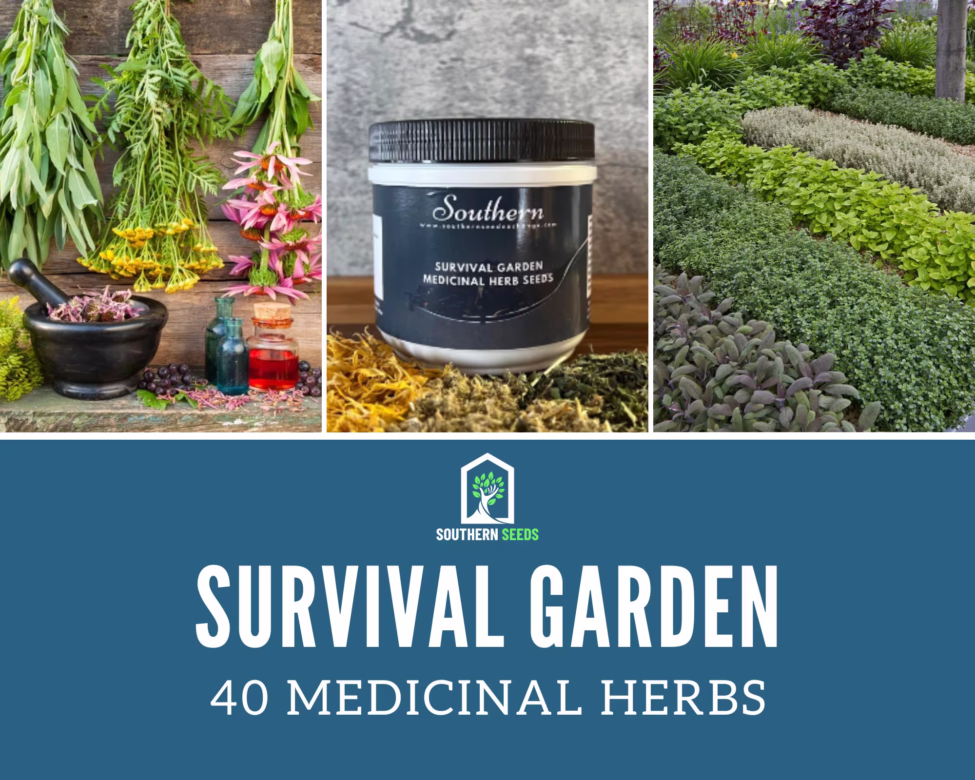 Survival Medicinal Herb Garden - 40 Essential Seeds Non-Gmo Free Shipping & 20% Savings