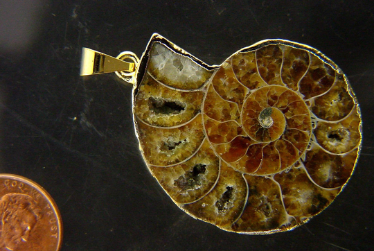 Gold Plated Ammonite Nautiloid Fossil Pendant Necklace Jewelry With 24" Gp Chain 7249P