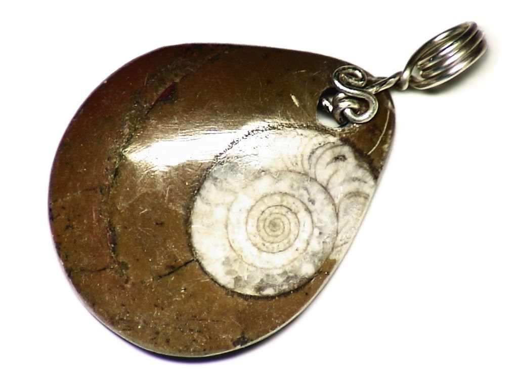 Ammonite Fossil Necklace, Real in Matrix Pendant, Sterling Silver Wire Wrap, Jewelry, Necklace For Man