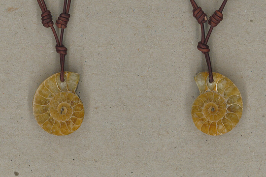 Matching Pair Of Fossil Ammonite Pendants Adjustable Leather Necklace Handmade By Chris Hay