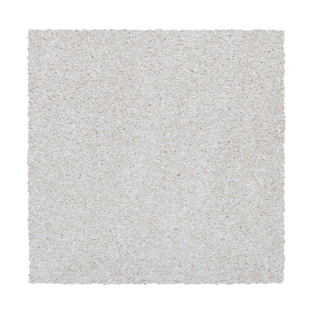STAINMASTER Essentials Vibrant blend II Whirlwind Textured Carpet (Indoor) Polyester in Brown | STP33-12-L005